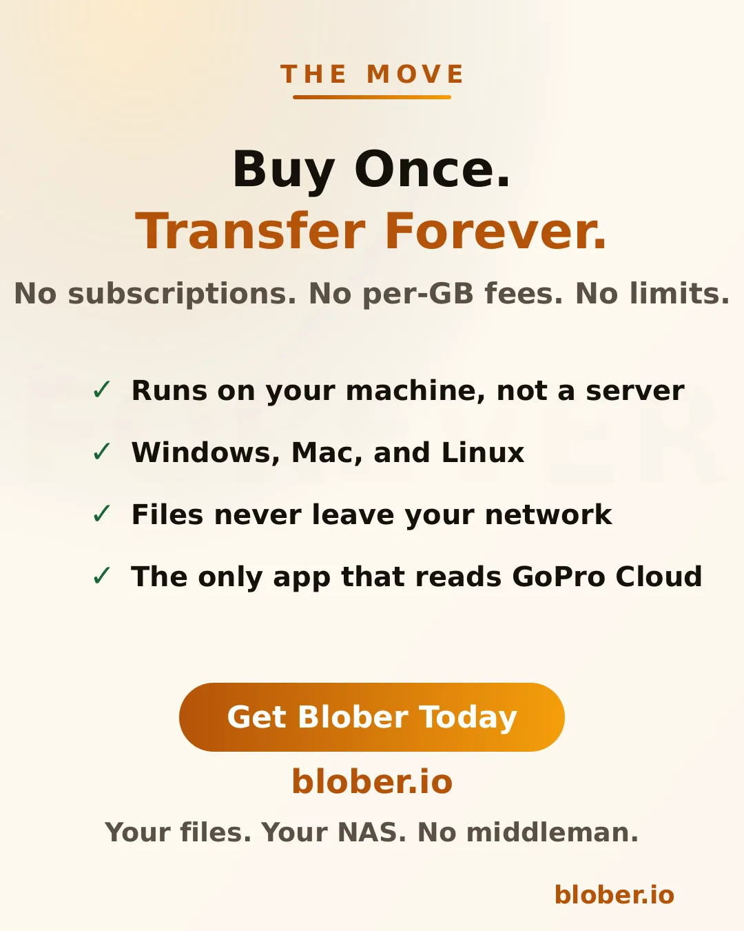 Buy once, transfer forever. No subscriptions, no per-GB fees, no limits. Files never leave your network.