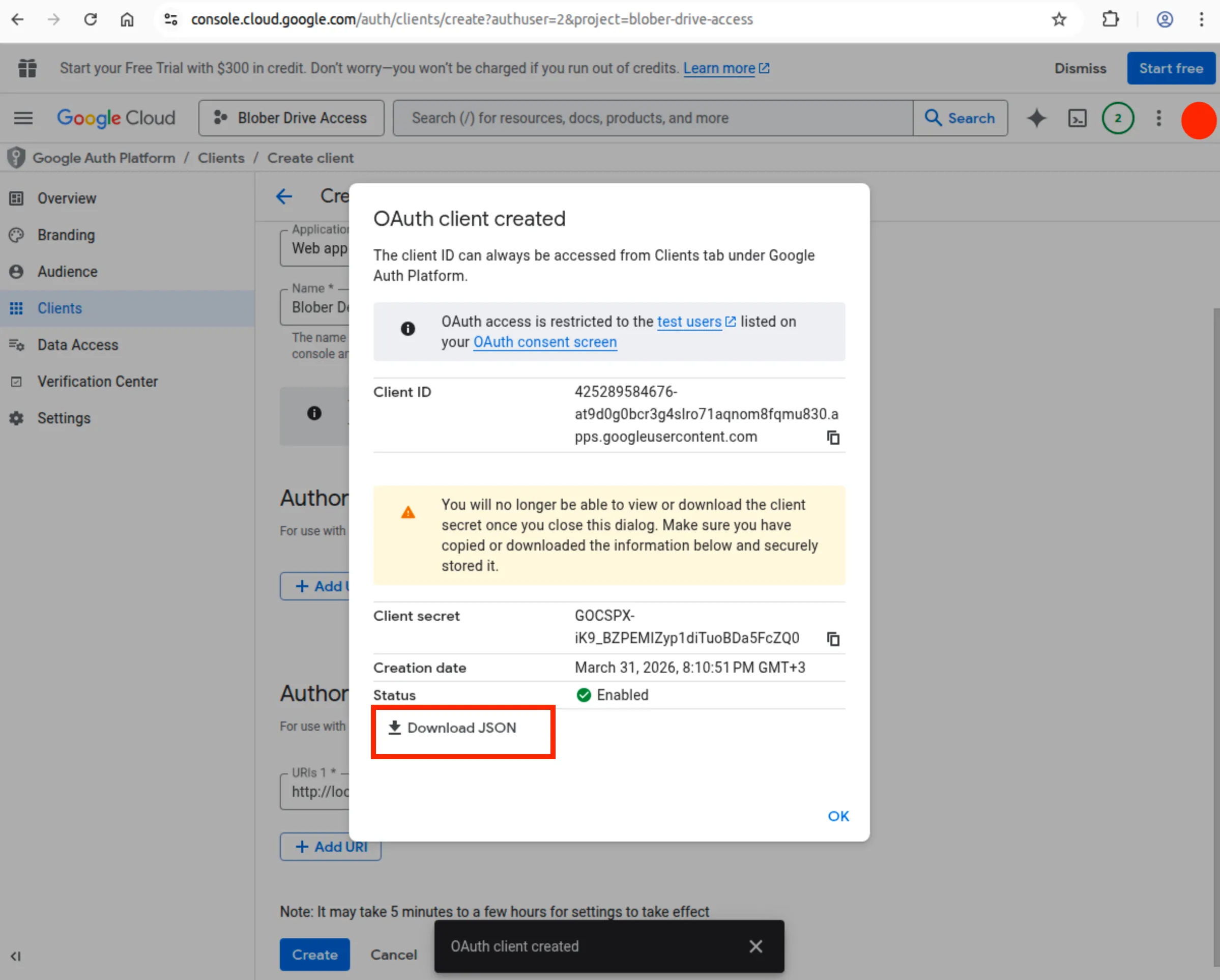 Download JSON credentials button