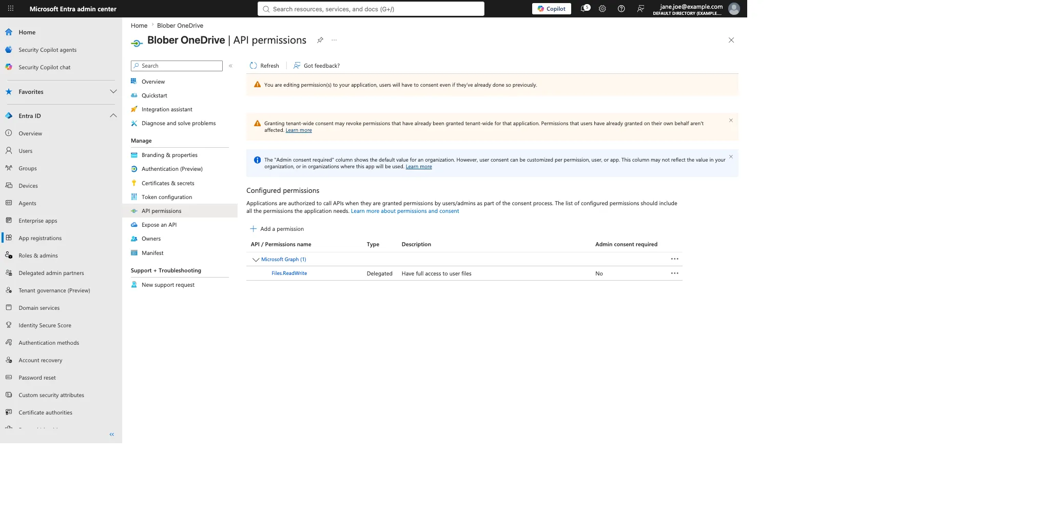 Configured Microsoft Graph permissions showing only delegated Files.ReadWrite access